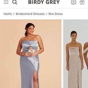 Birdy Grey Dusty Blue Satin Mia Dressed